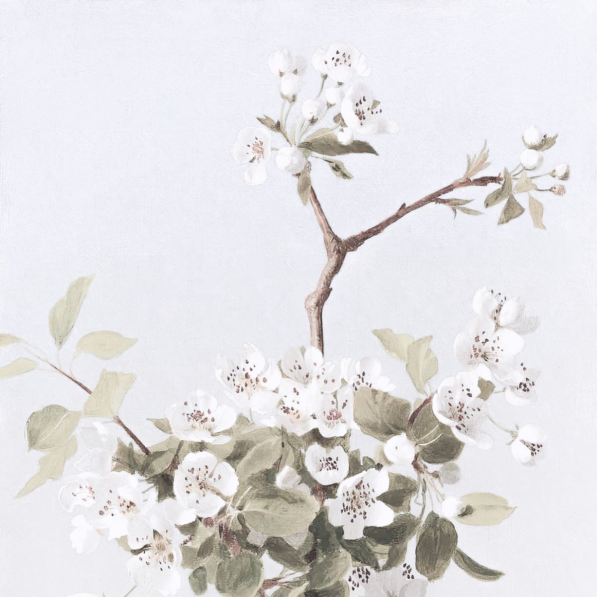 #SHADY: Your ‘Whitely’ Thoughts🌼
